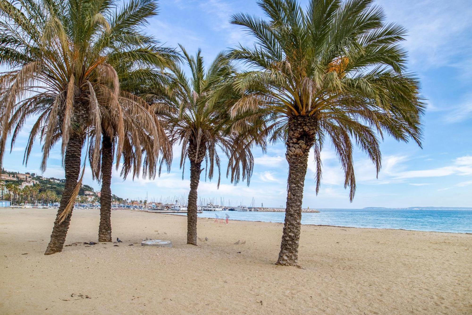 Nouvelle Ere - Appt A Moins D'Un Km De La Plage Le Lavandou Esterno foto